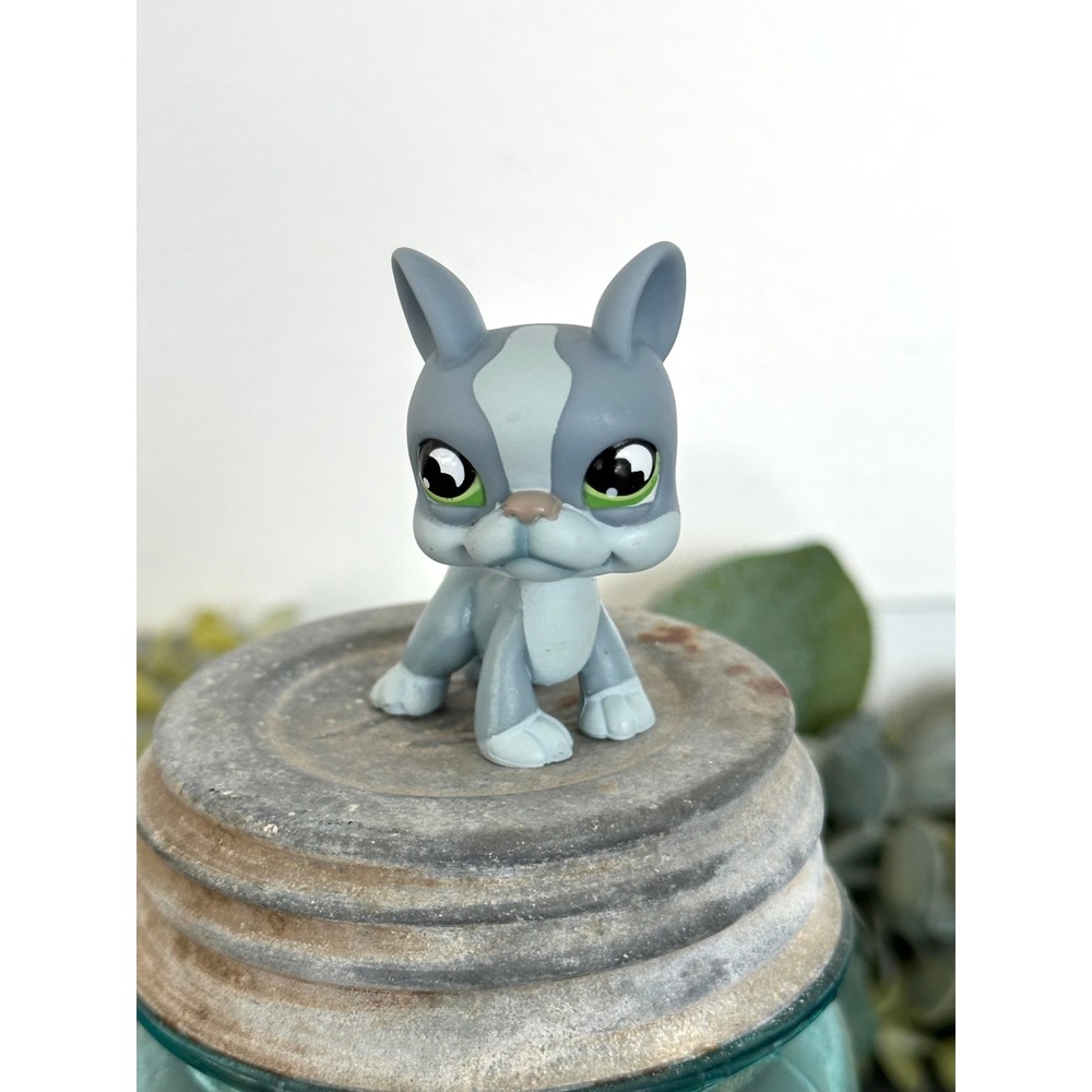 Littlest Pet Shop #857 Boston Terrier blue gray dog Hasbro Vtg 2004 generation 2